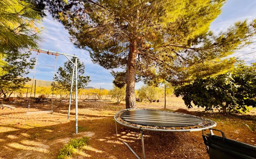 Resale - Villa -
Monóvar - Monovar