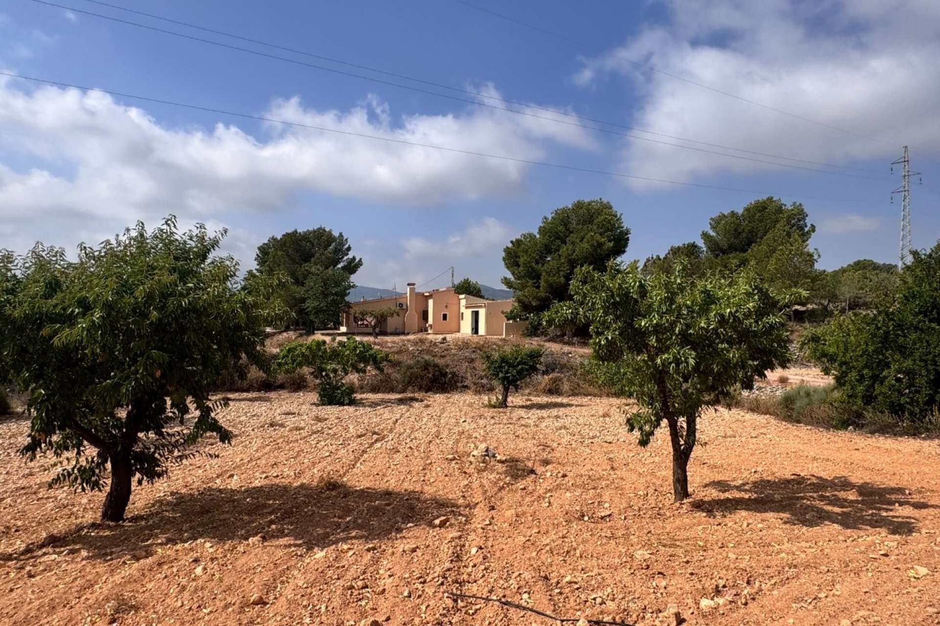 Resale - Villa -
Monóvar - Monovar