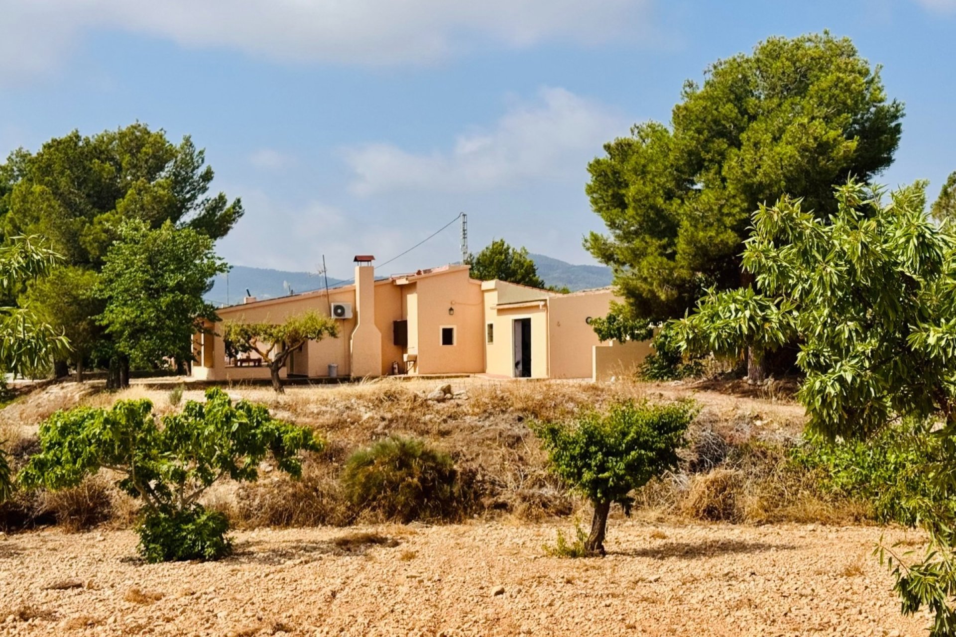 Resale - Villa -
Monóvar - Monovar