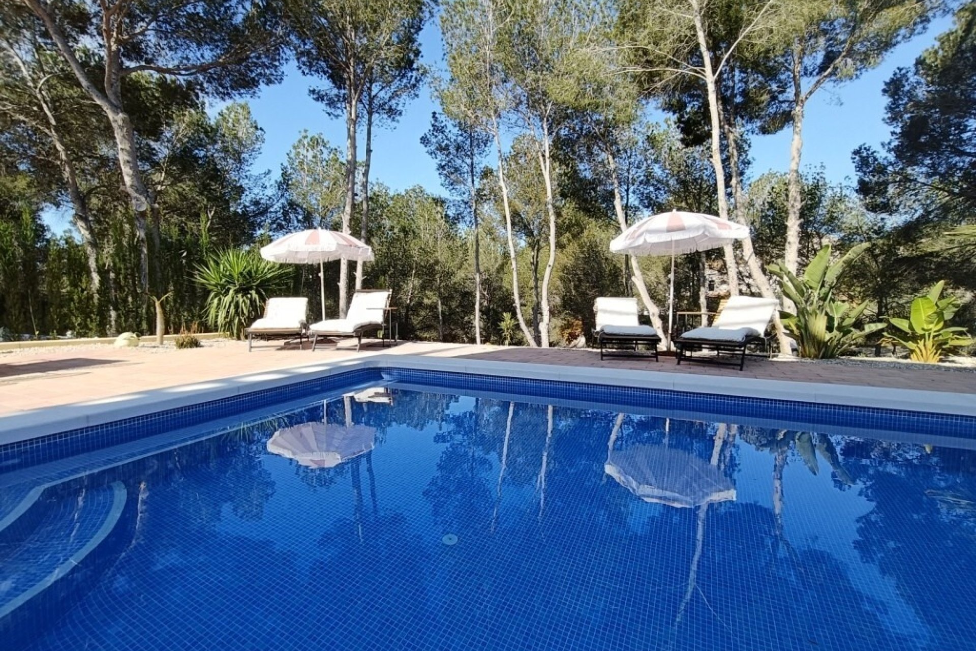 Resale - Villa -
Pilar de la Horadada - Pinar de Campoverde