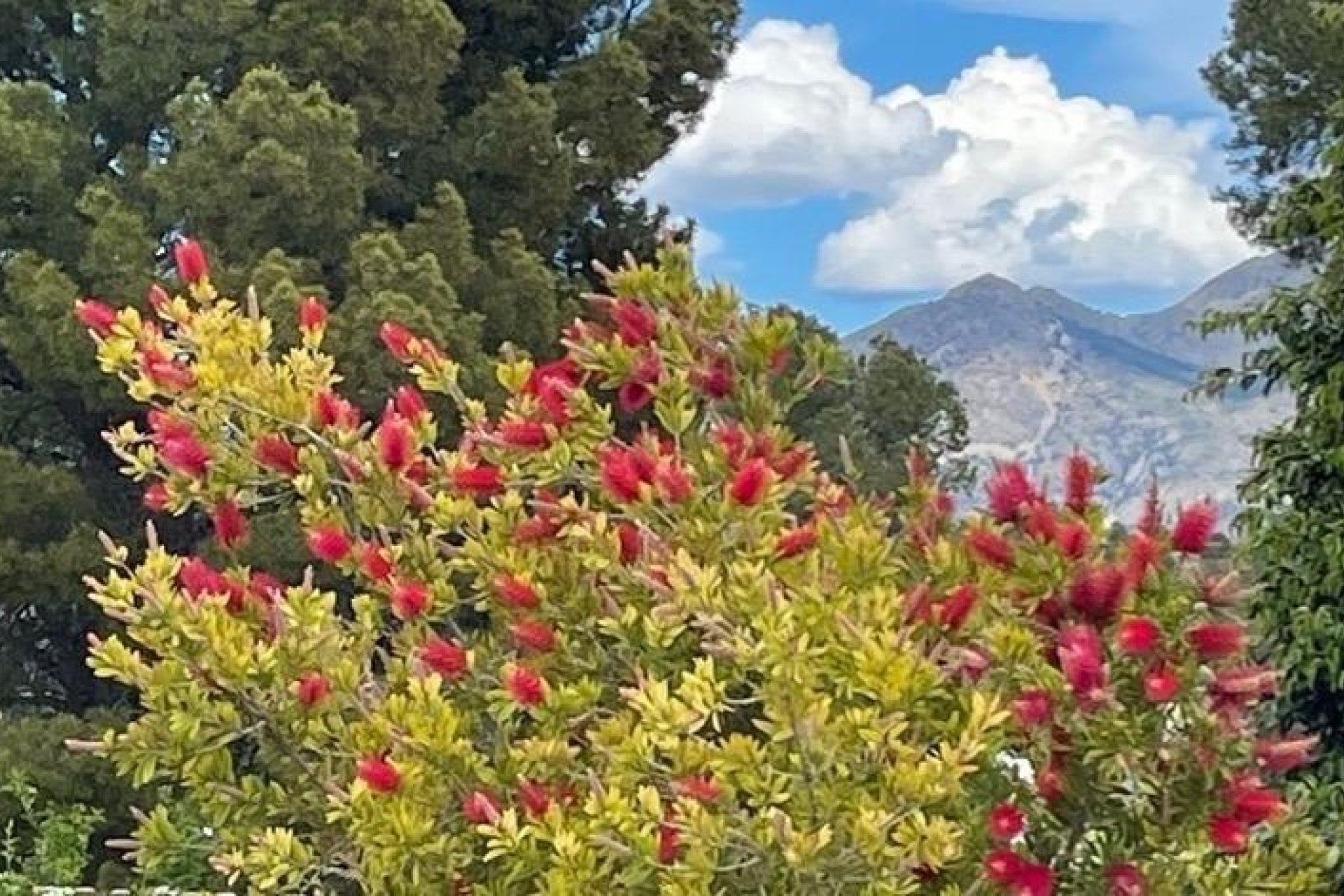 Resale - Villa -
Polop - Alberca