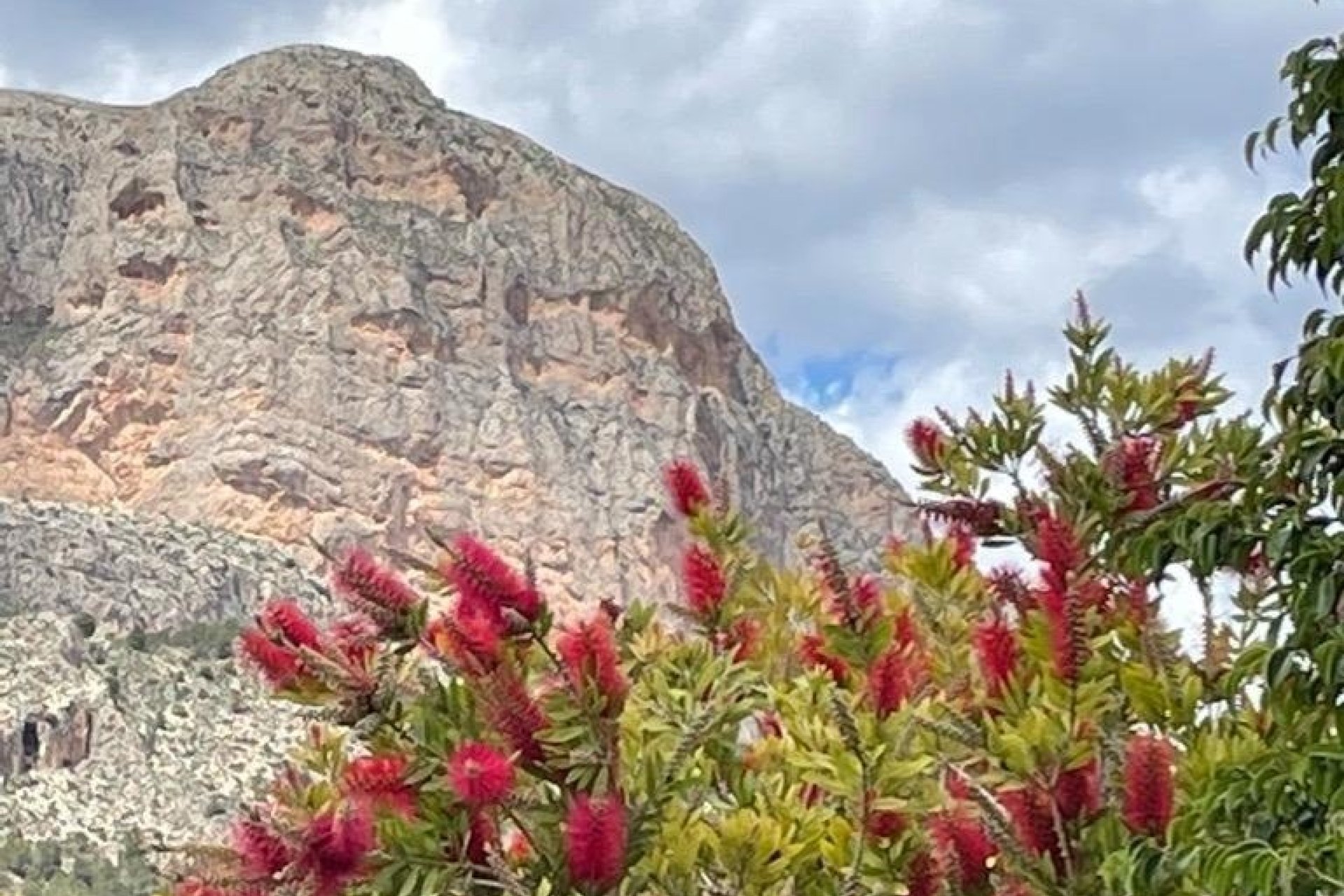 Resale - Villa -
Polop - Alberca