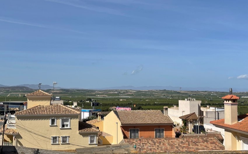 Resale - Villa -
San Miguel de Salinas - Inland