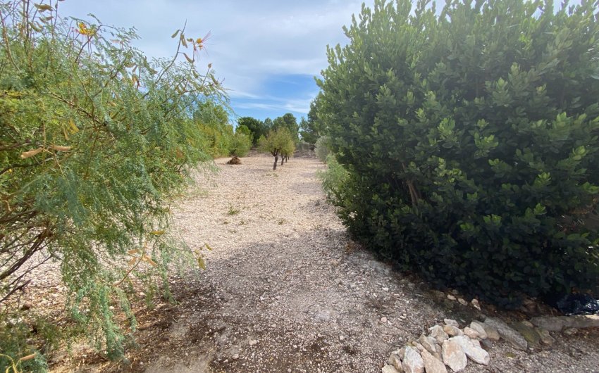 Resale - Villa -
Sax