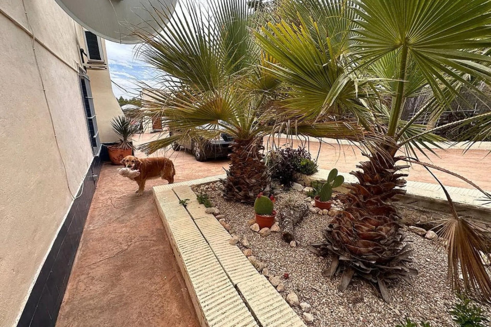 Resale - Villa -
Sax