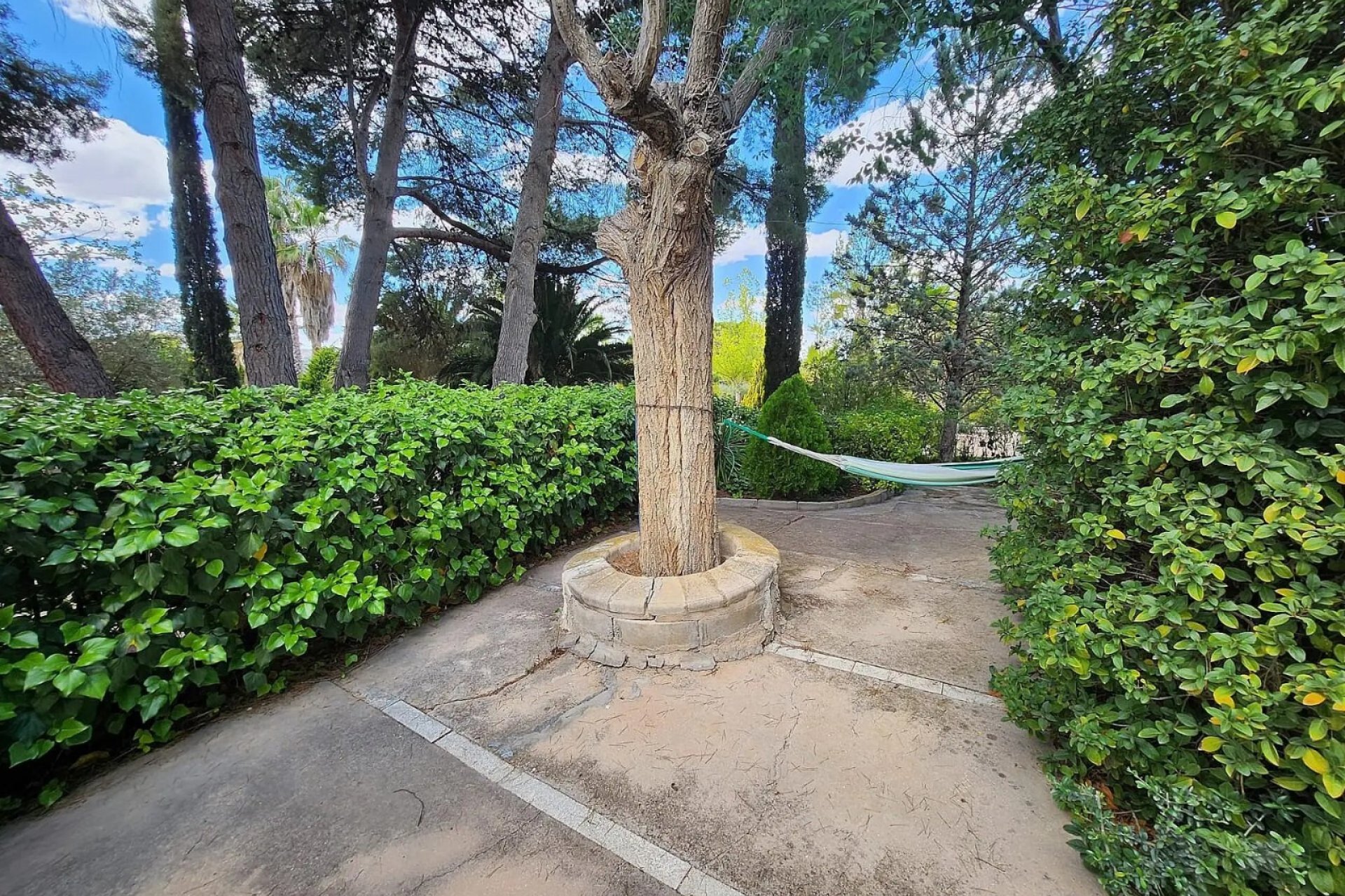 Resale - Villa -
Sax