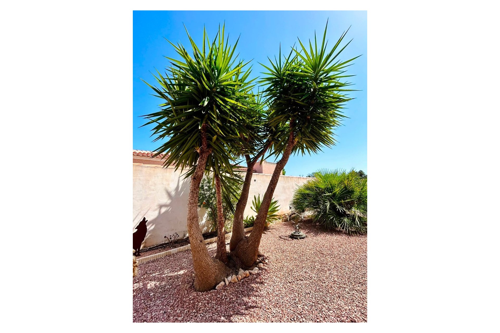 Resale - Villa -
Torrevieja - Costa Blanca