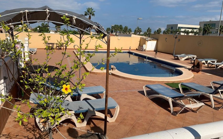 Resale - Villa -
Torrevieja - Los Balcones - Los Altos del Edén