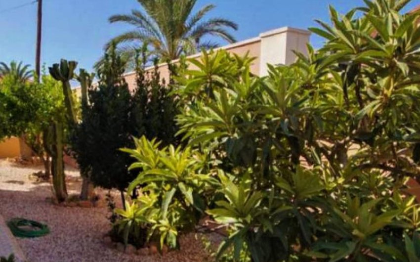 Resale - Villa -
Torrevieja