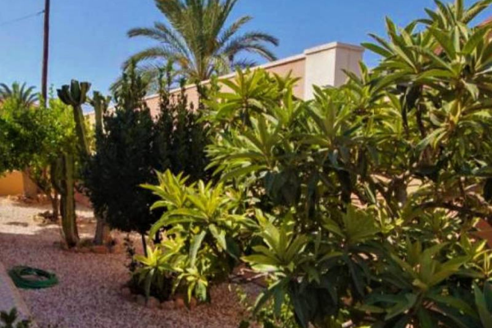 Resale - Villa -
Torrevieja