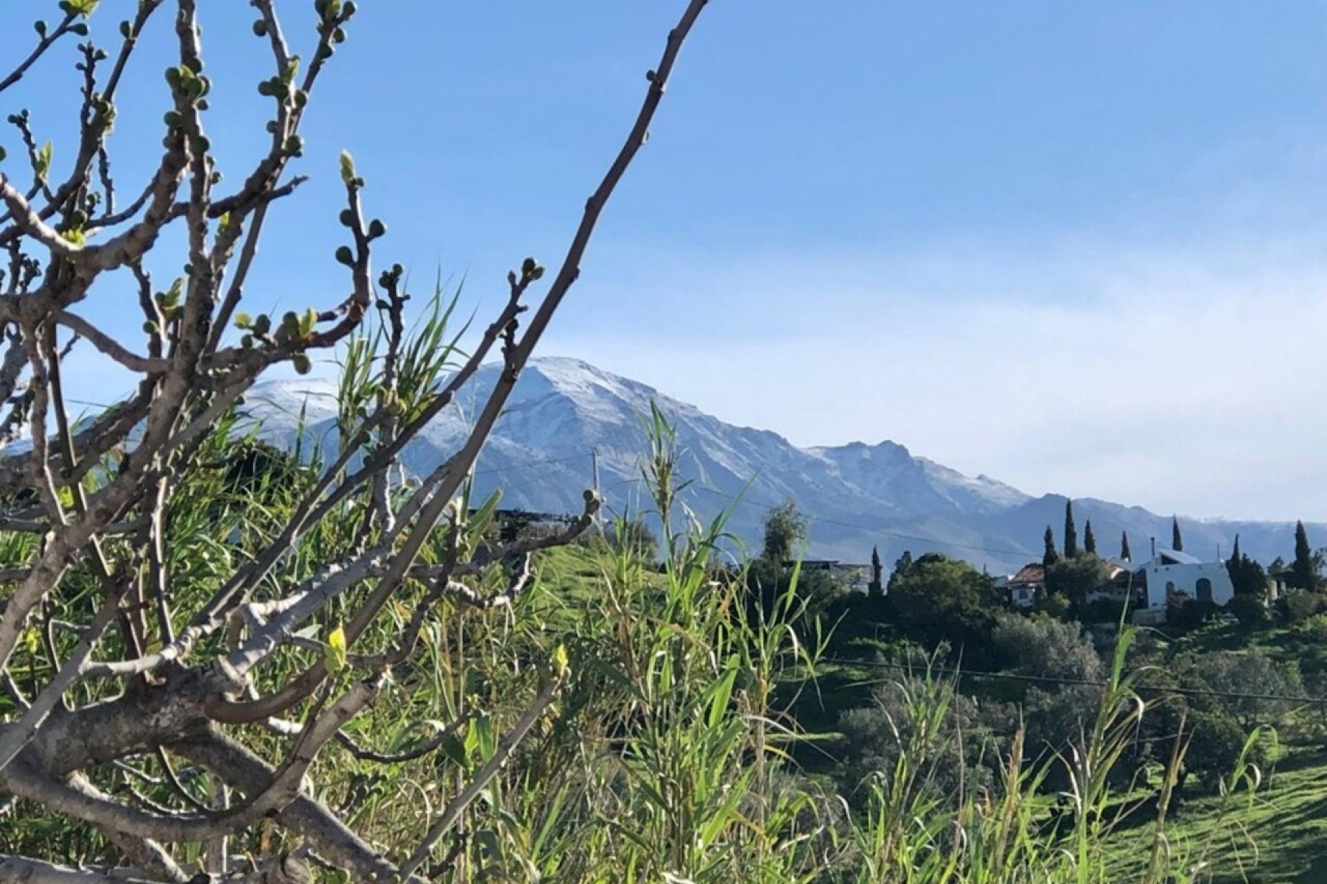 Resale - Villa -
Vélez-Málaga - Costa del Sol