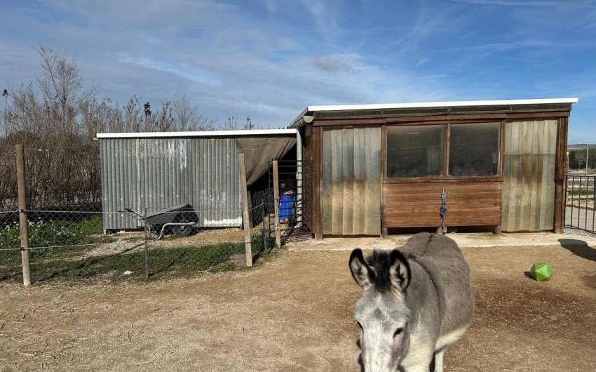 Resale - Villa -
Villena