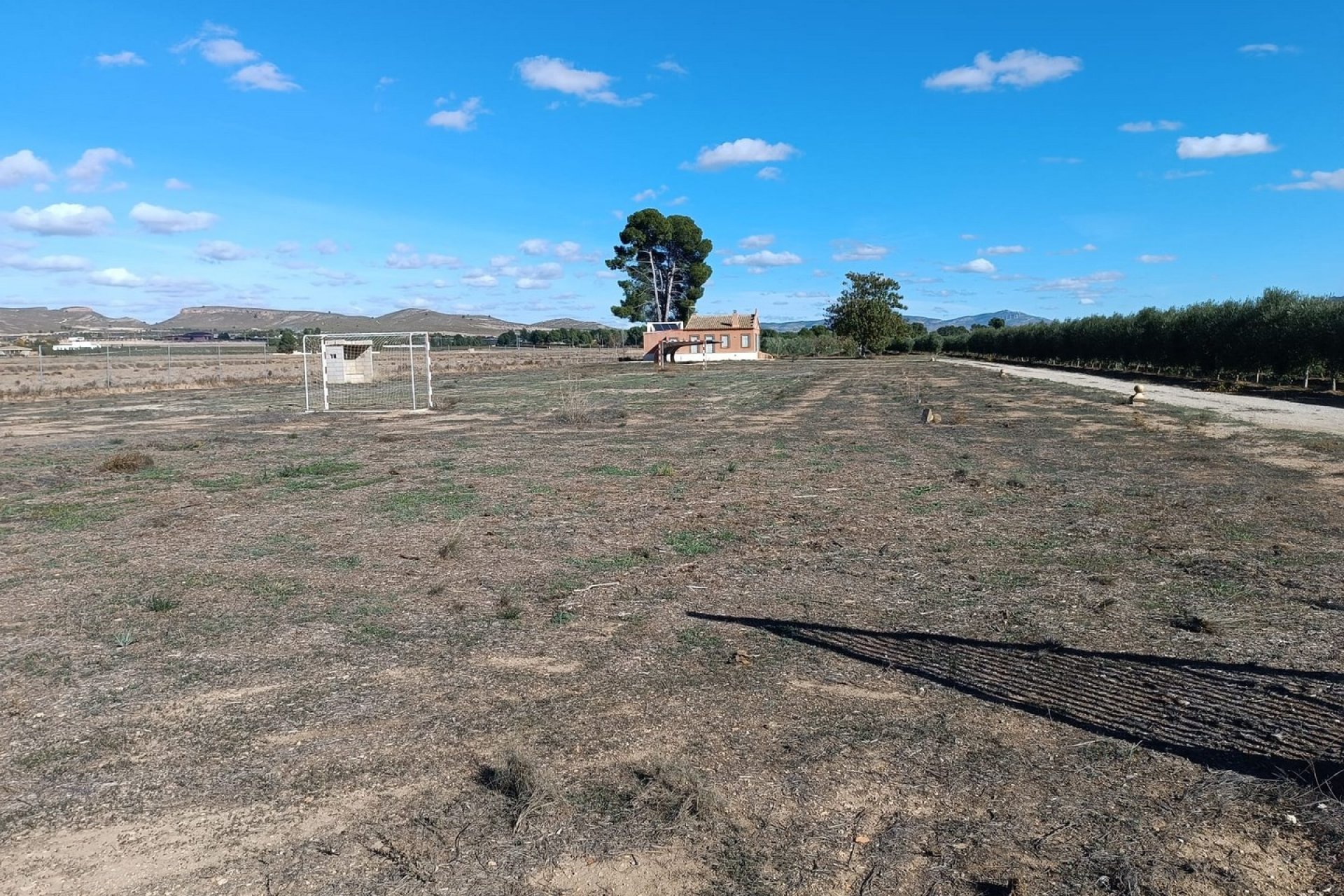 Resale - Villa -
Yecla - Inland