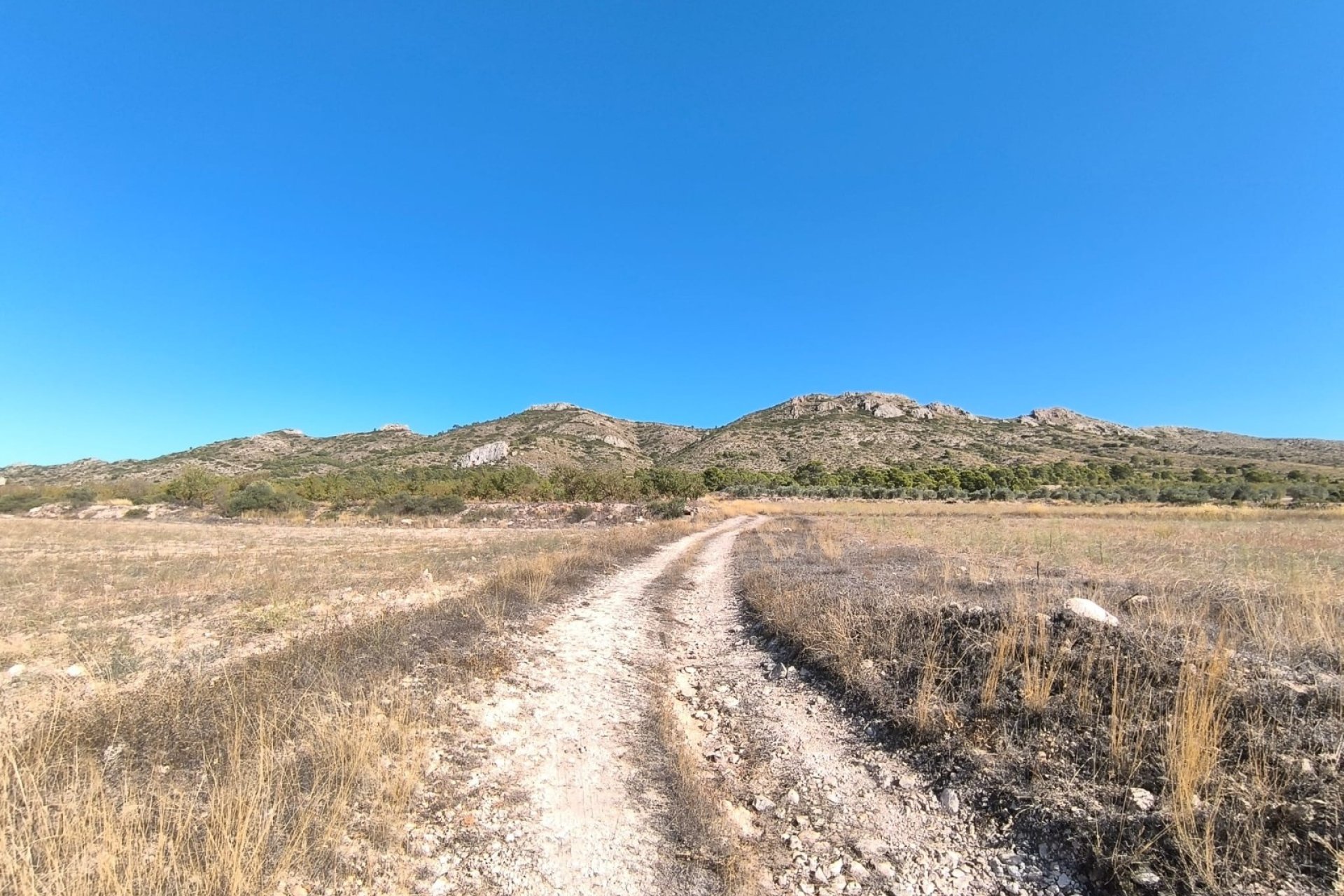 Resale - Villa -
Yecla - Inland