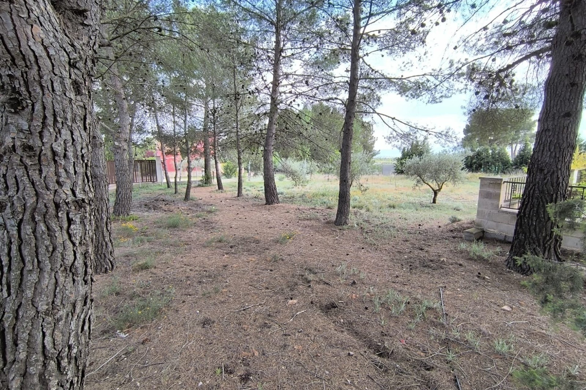 Resale - Villa -
Yecla - Inland