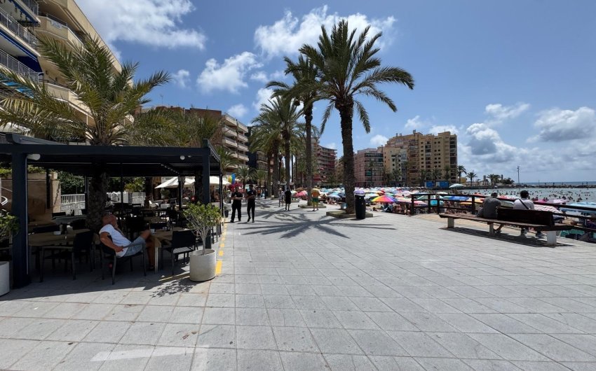 Reventa - Apartamento -
Torrevieja - Playa del Cura