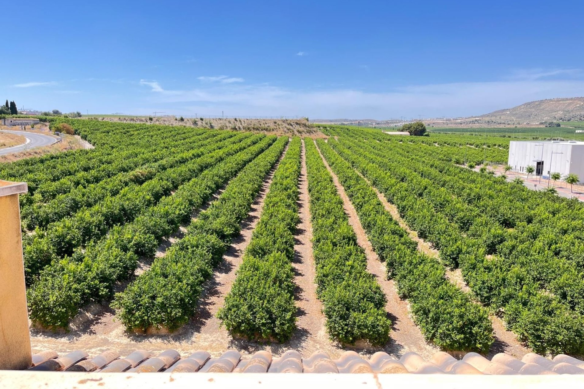 Reventa - Apartment -
Algorfa - Inland