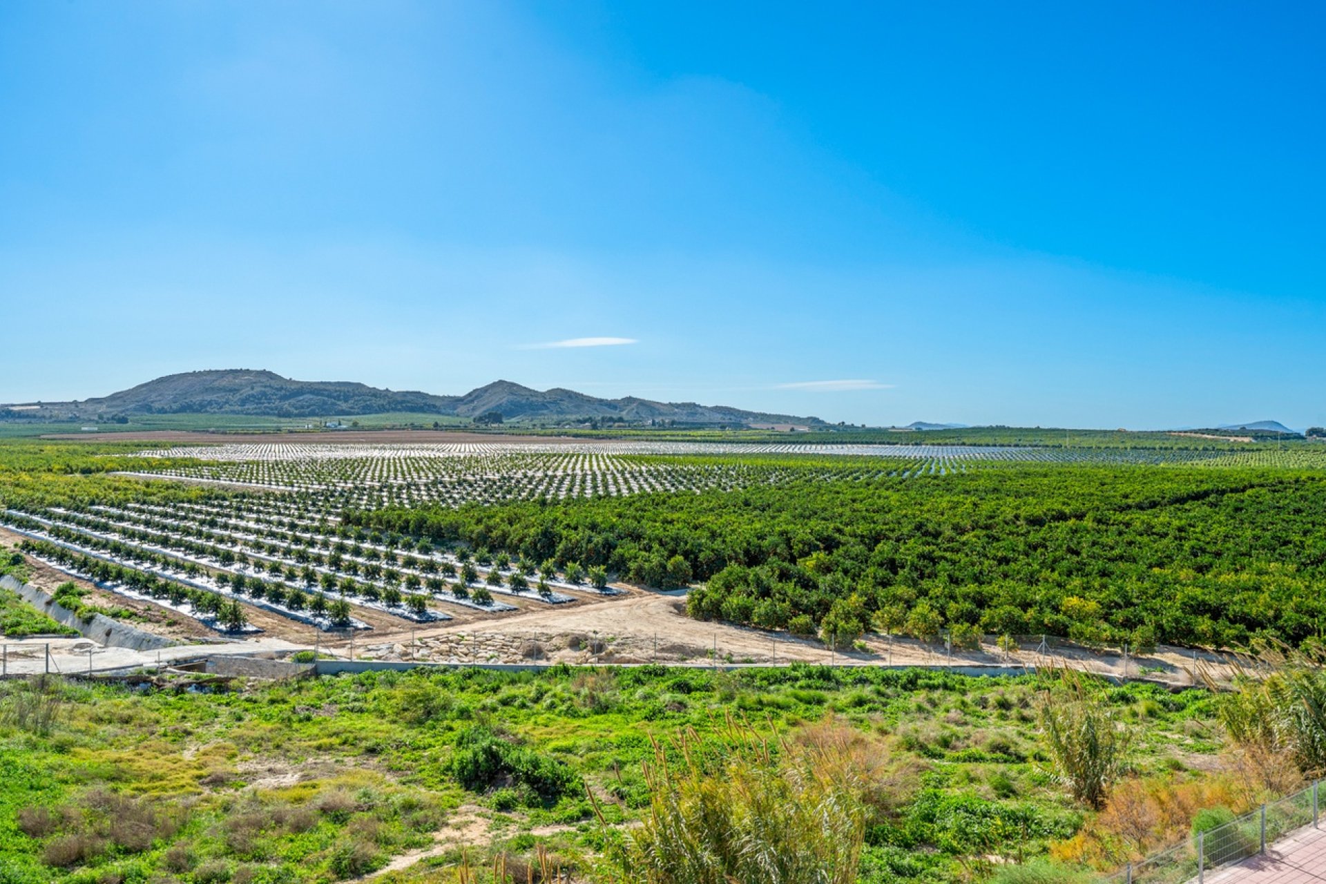 Reventa - Apartment -
Algorfa - Inland