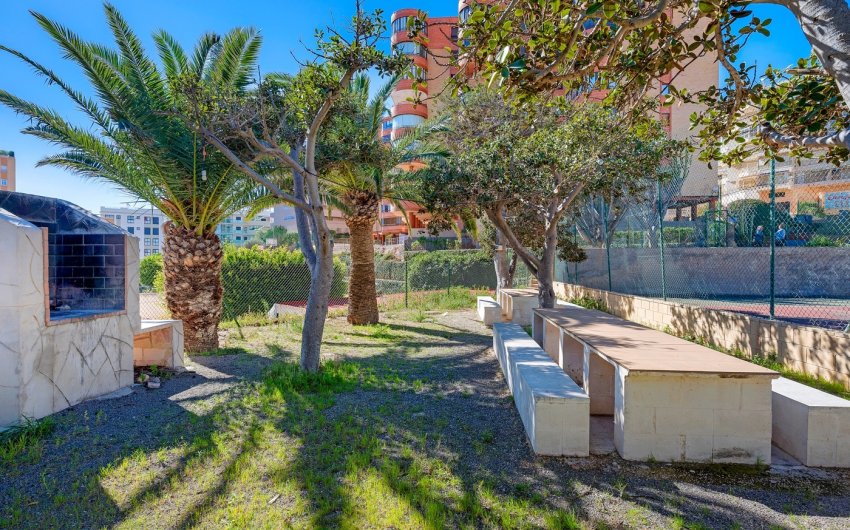 Reventa - Apartment -
Arenales del Sol - Segunda linea playa