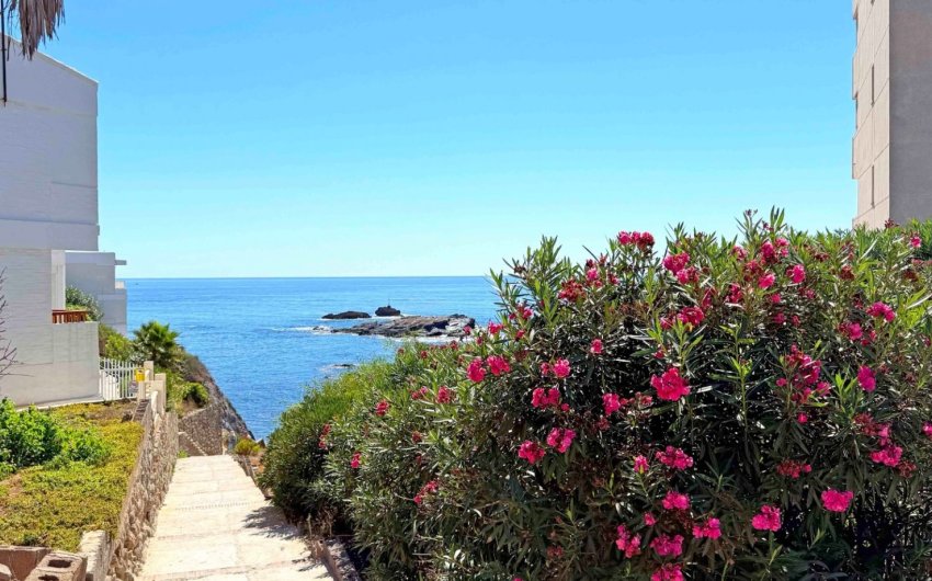 Reventa - Apartment -
Cabo de Palos - Costa Calida