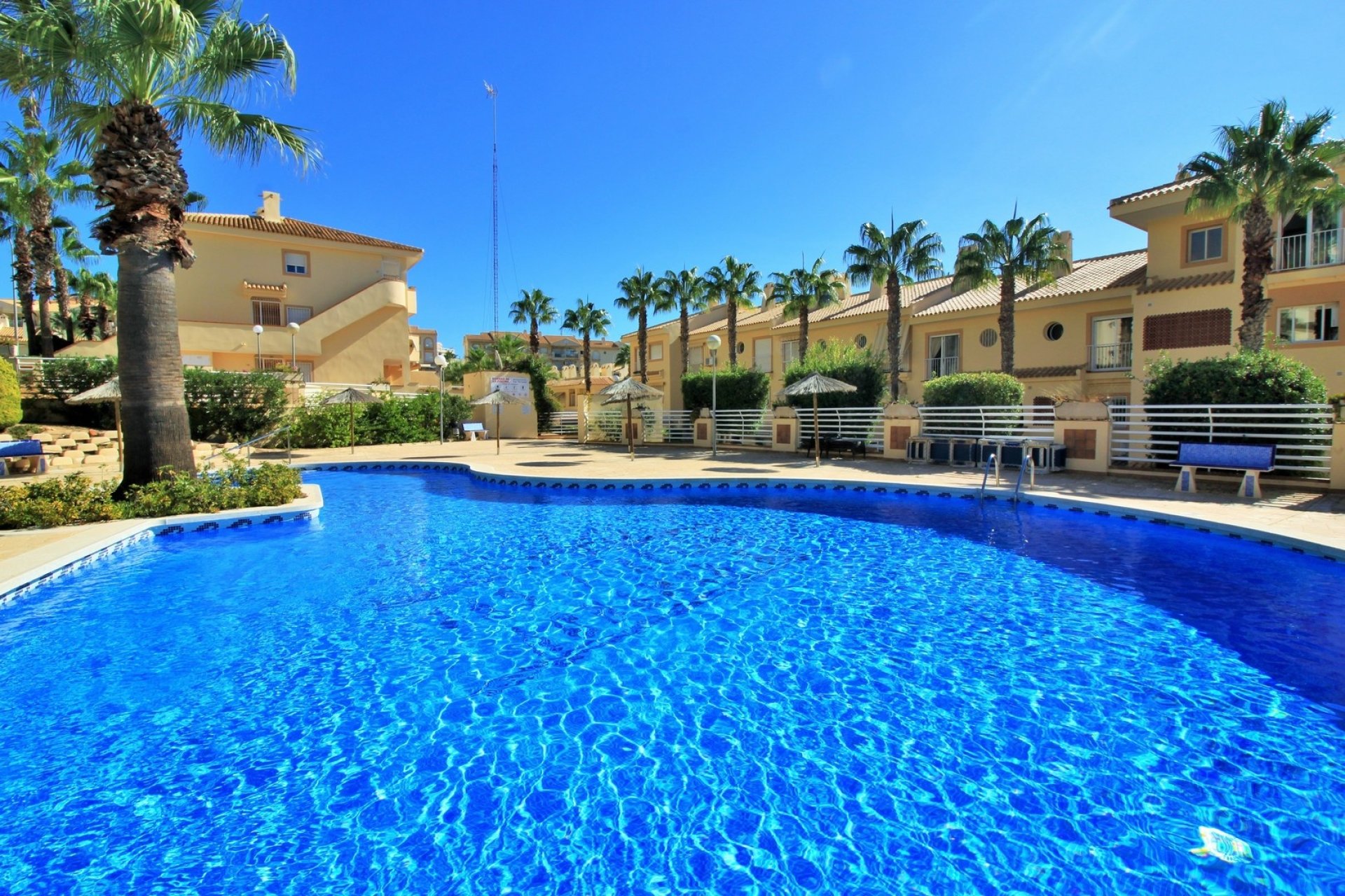 Reventa - Apartment -
Cabo Roig