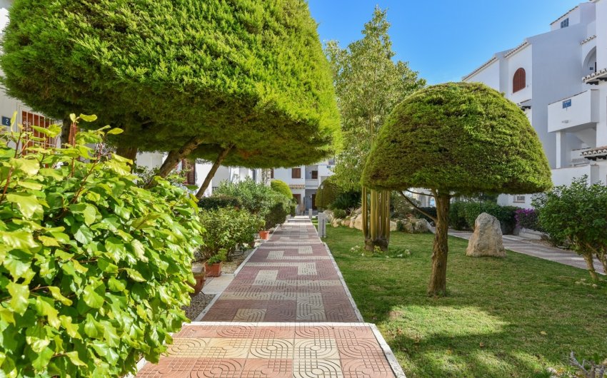 Reventa - Apartment -
Ciudad Quesada