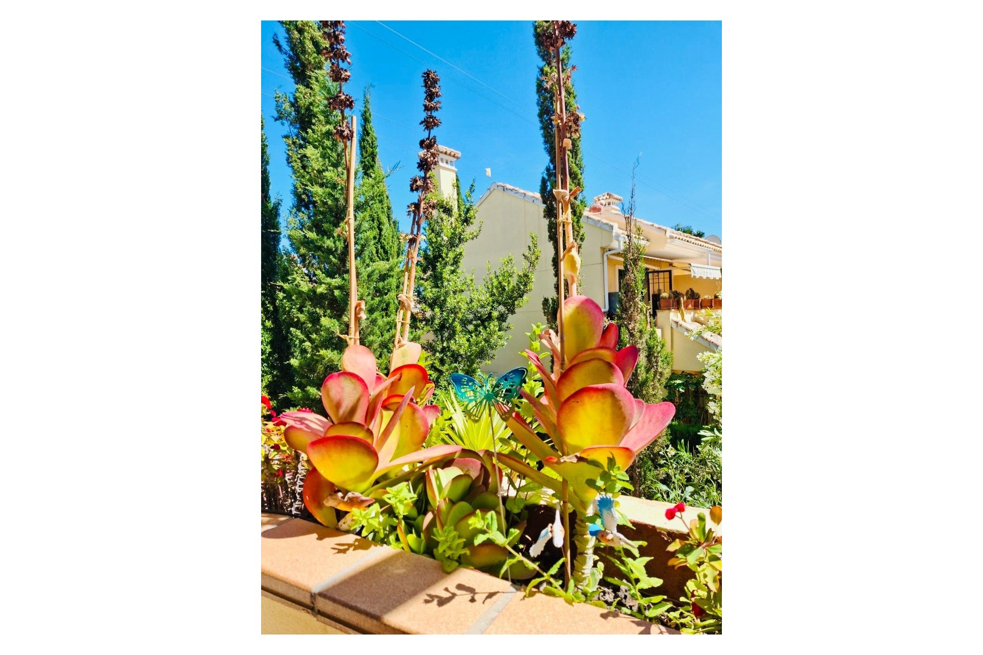 Reventa - Apartment Flat -
Orihuela Costa - Lomas De Campoamor-las Ramblas