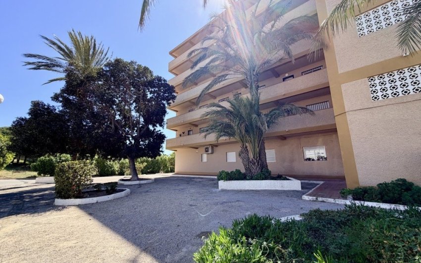Reventa - Apartment -
Guardamar del Segura - Costa Blanca