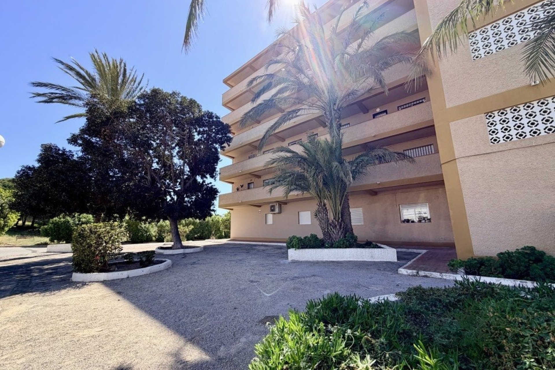 Reventa - Apartment -
Guardamar del Segura - Costa Blanca