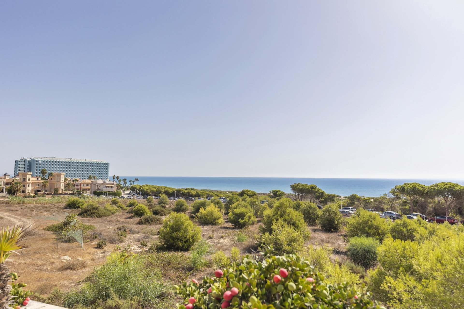Reventa - Apartment -
Guardamar del Segura - Costa Blanca