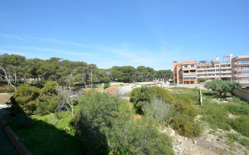 Reventa - Apartment -
Guardamar del Segura - Costa Blanca