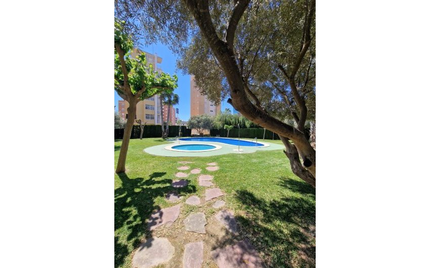 Reventa - Apartment -
Guardamar del Segura - Costa Blanca