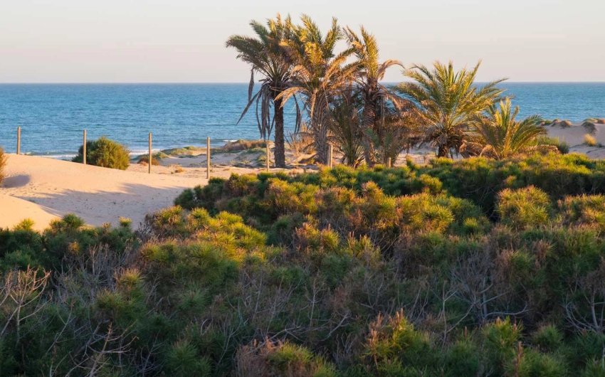 Reventa - Apartment -
Guardamar del Segura - Costa Blanca