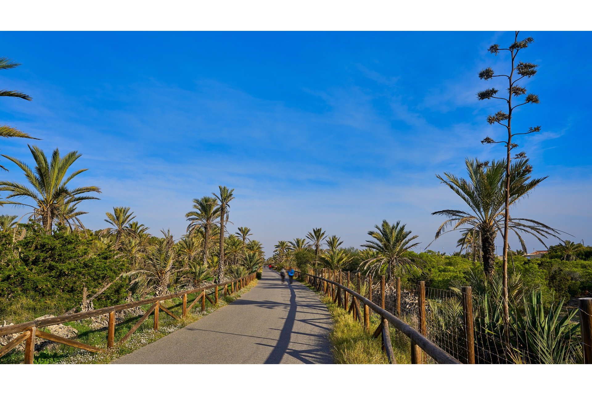 Reventa - Apartment -
Guardamar del Segura - El Moncayo