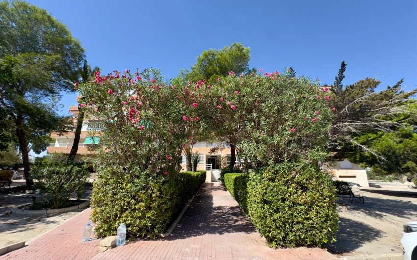 Reventa - Apartment -
Guardamar del Segura - Pinomar