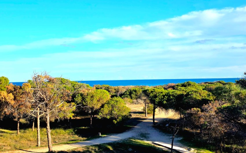 Reventa - Apartment -
Guardamar del Segura - Pinomar