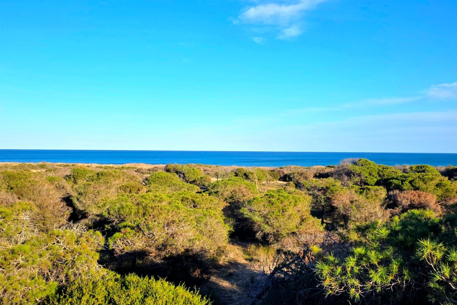 Reventa - Apartment -
Guardamar del Segura - Pinomar