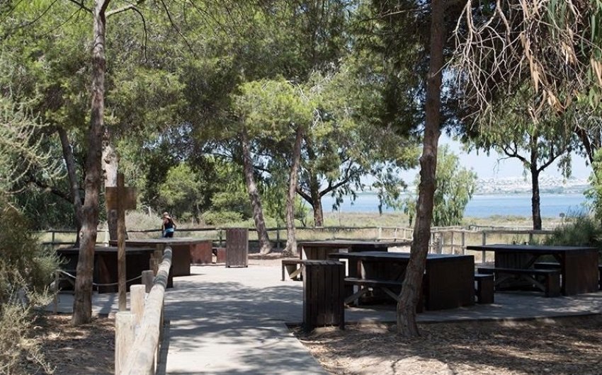 Reventa - Apartment -
La Mata - La Mata - Town