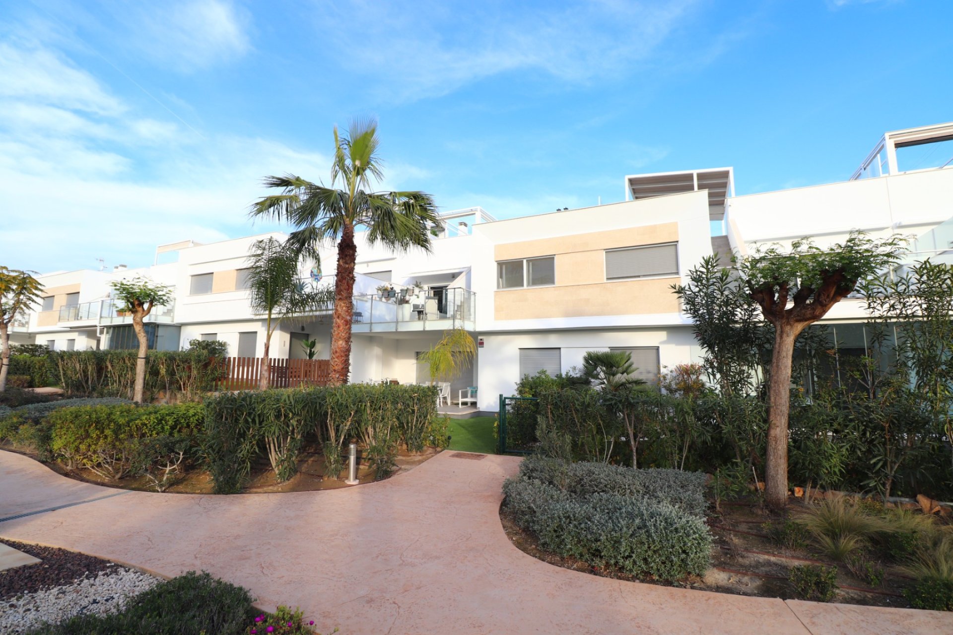 Reventa - Apartment -
Los Montesinos - Entre Naranjos / Vistabella Golf