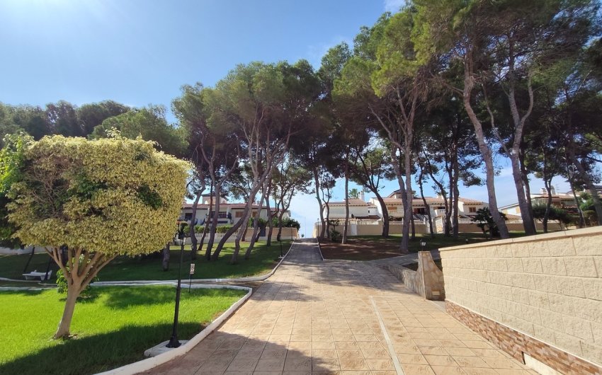 Reventa - Apartment -
Mil Palmeras - Costa Blanca