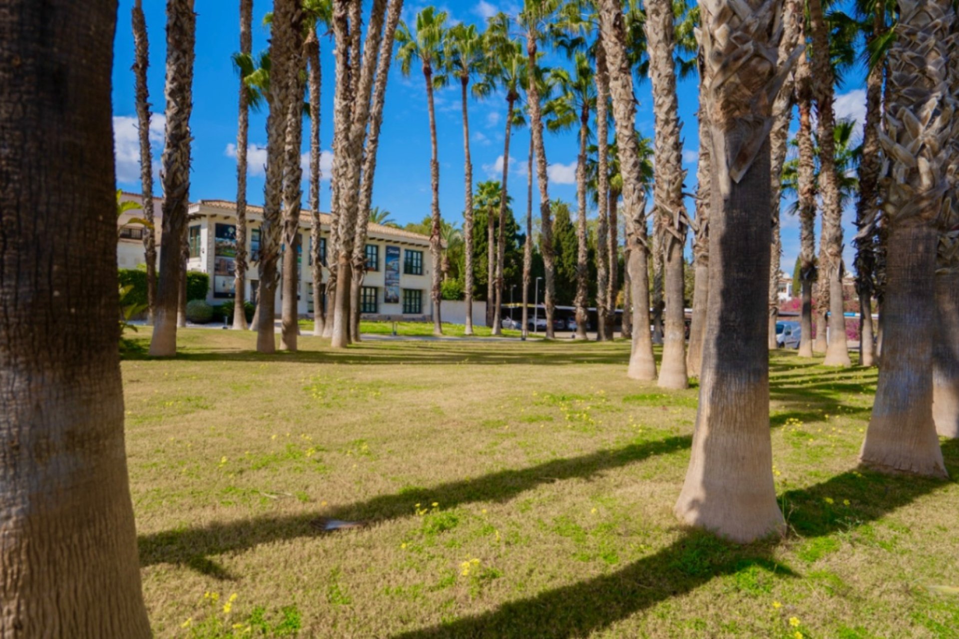 Reventa - Apartment -
Orihuela - Costa Blanca Sur