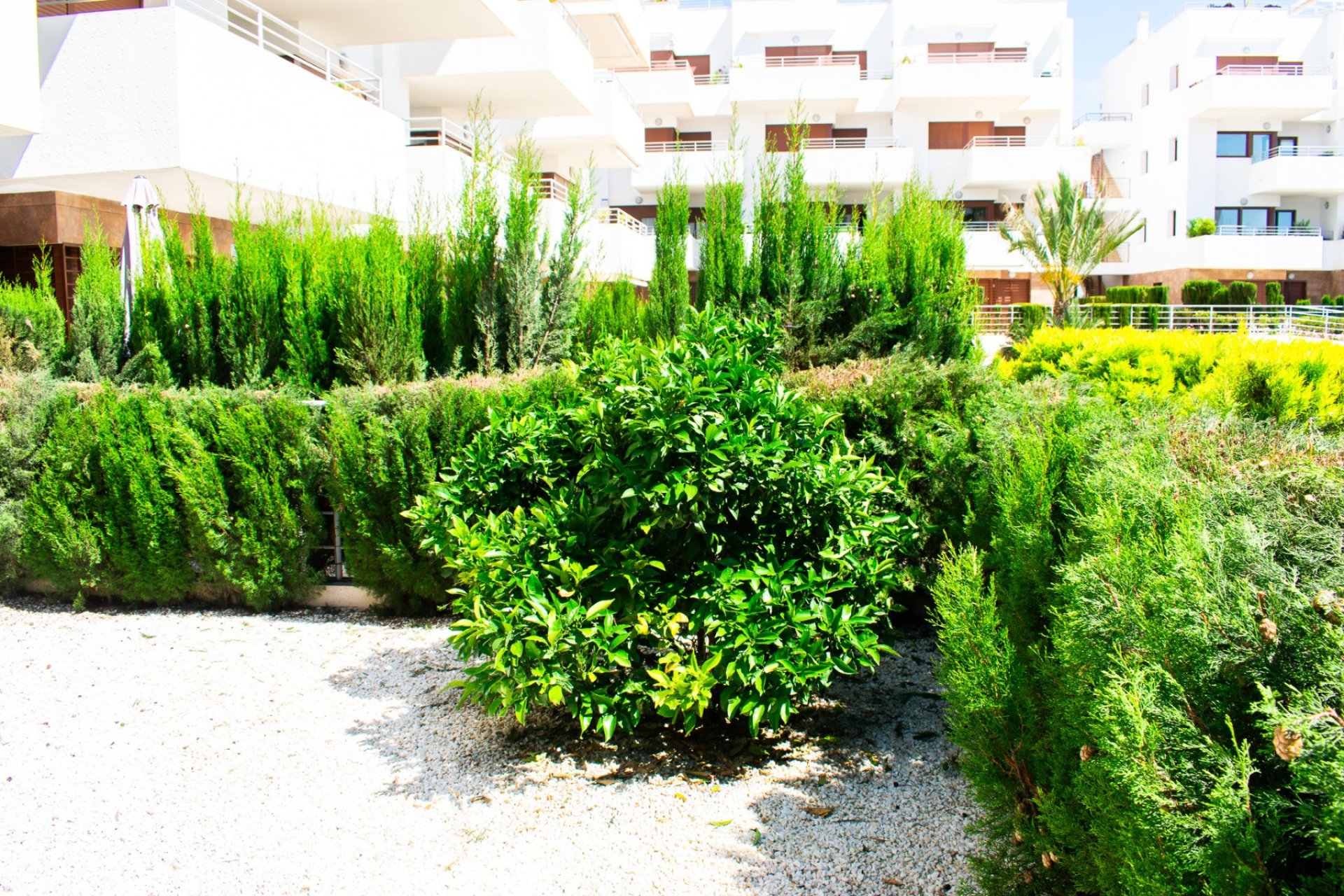 Reventa - Apartment -
Orihuela Costa - Cabo Roig