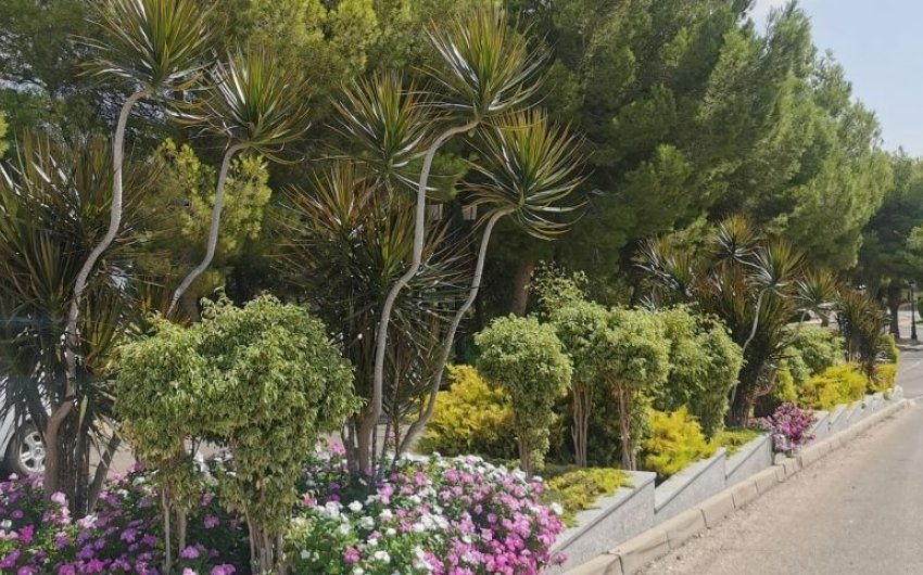 Reventa - Apartment -
Orihuela Costa - Costa Blanca