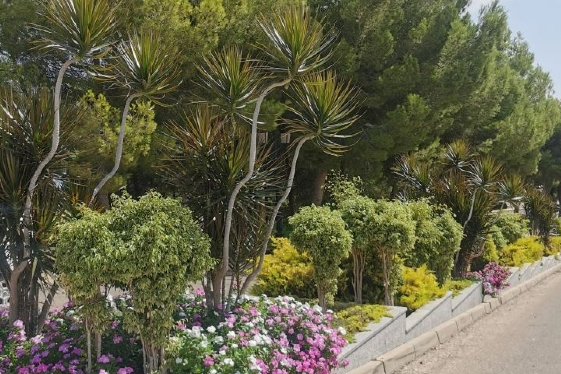 Reventa - Apartment -
Orihuela Costa - Costa Blanca