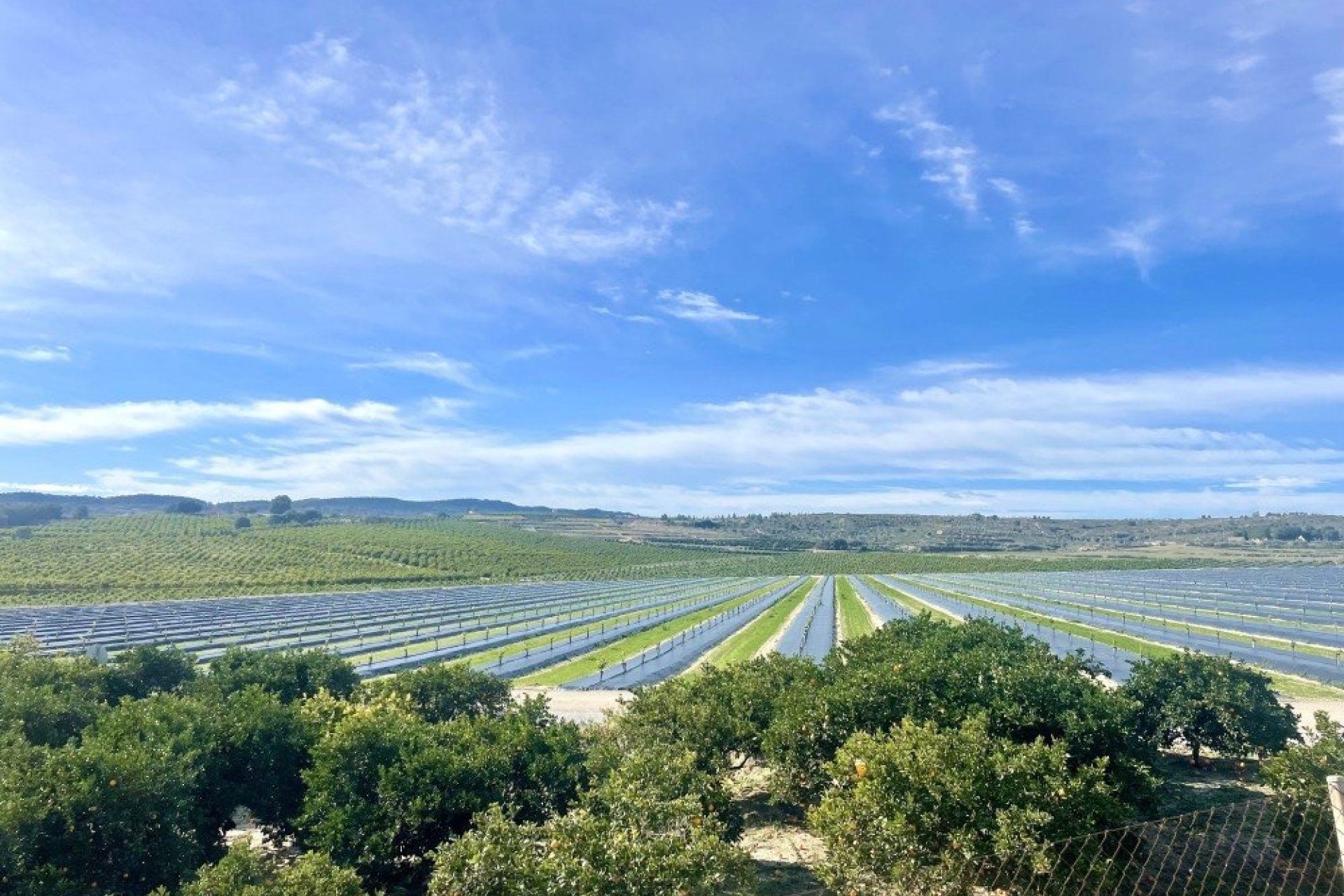 Reventa - Apartment -
Orihuela Costa - Costa Blanca