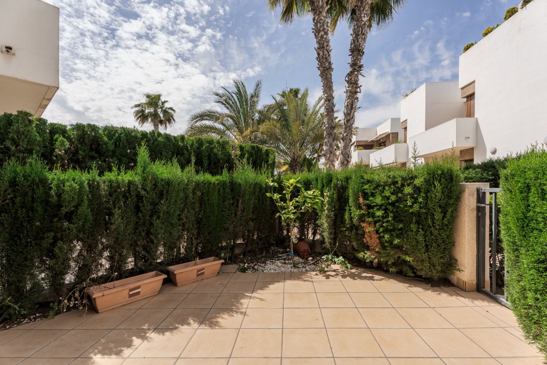 Reventa - Apartment -
Orihuela Costa - La Zenia