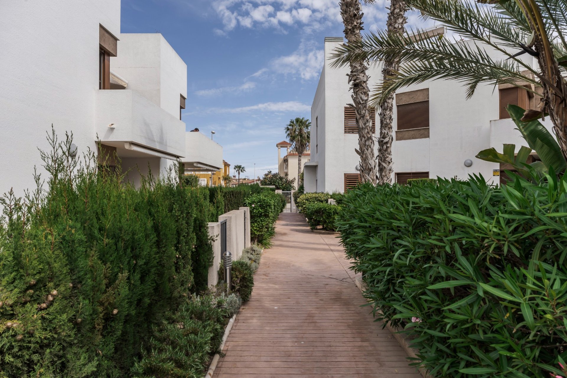 Reventa - Apartment -
Orihuela Costa - La Zenia