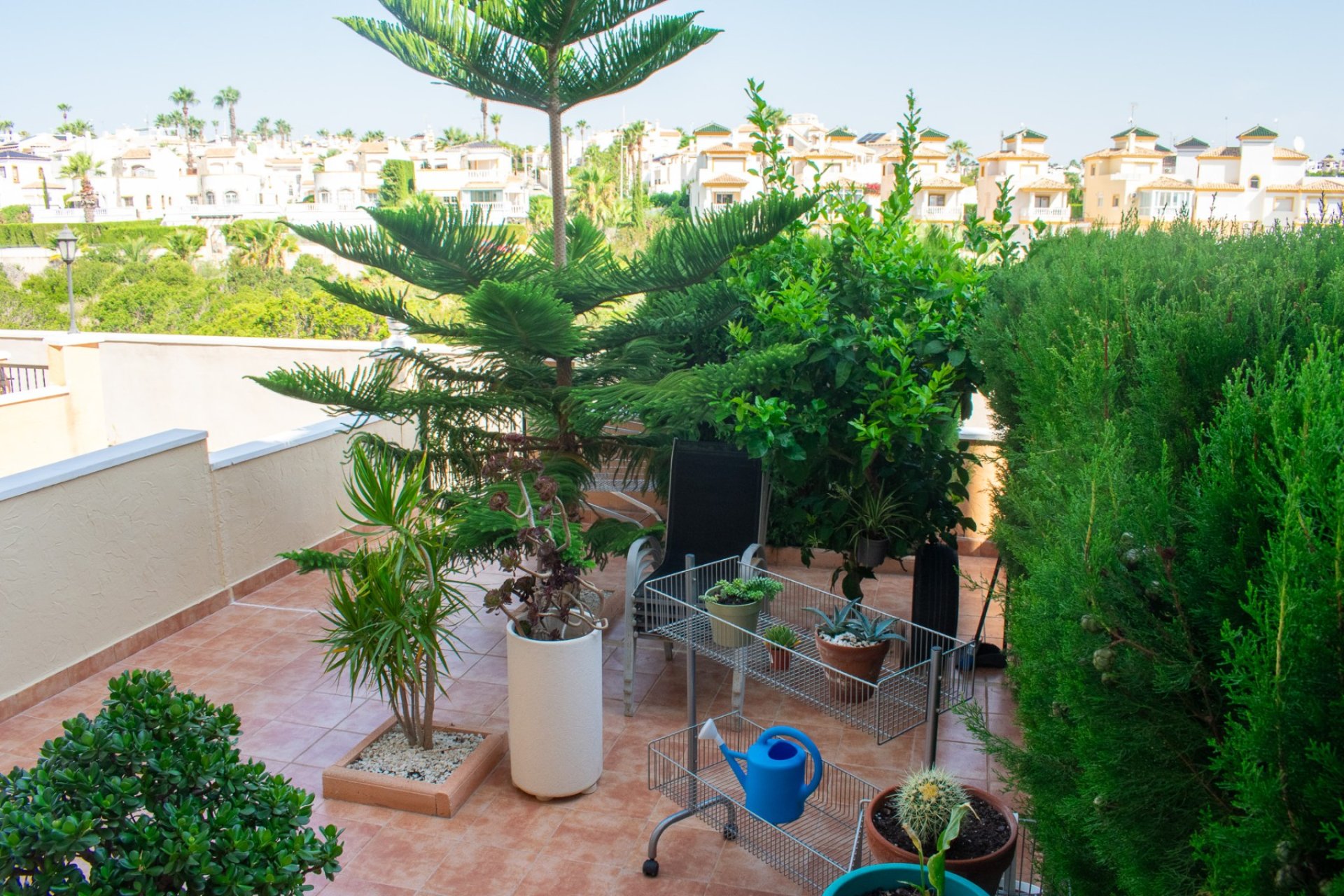 Reventa - Apartment -
Orihuela Costa - Los Dolses