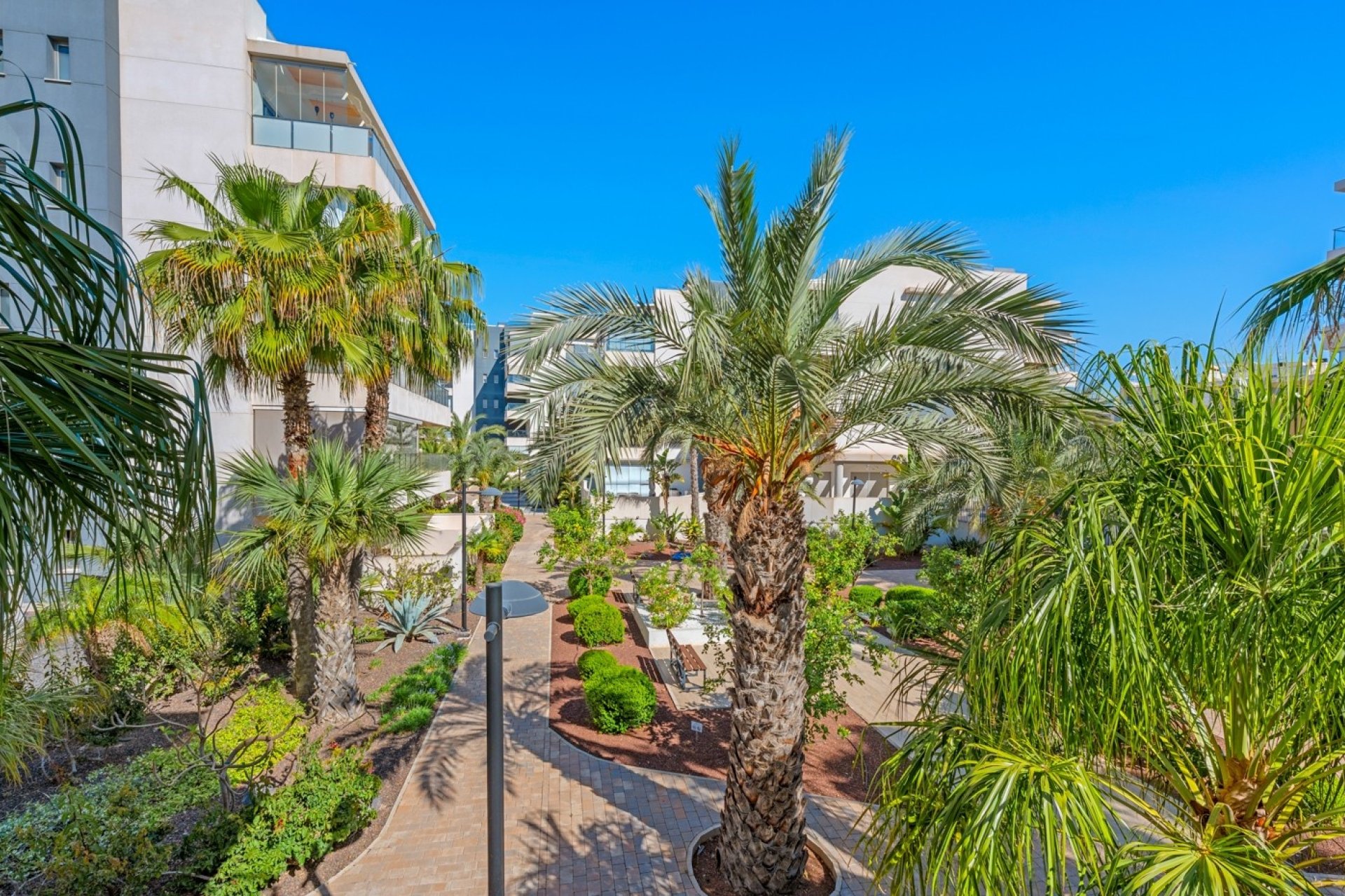 Reventa - Apartment -
Orihuela Costa - Los Dolses