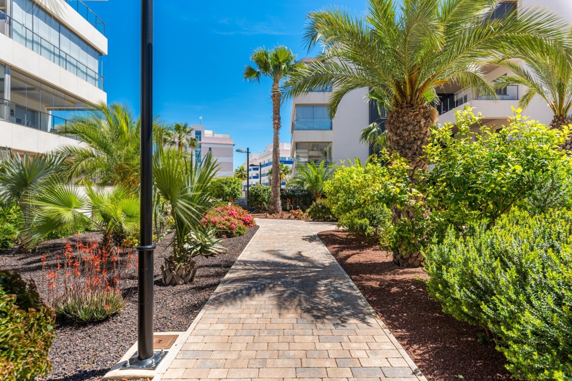Reventa - Apartment -
Orihuela Costa - Los Dolses